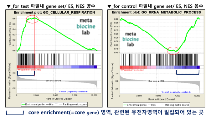 Gene Set Enrichment Analysis GSEA